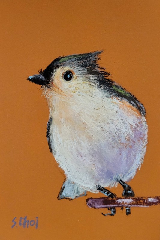 Tufted Titmouse, Original Birds Pastel Painting, 4×6 Inch framed
