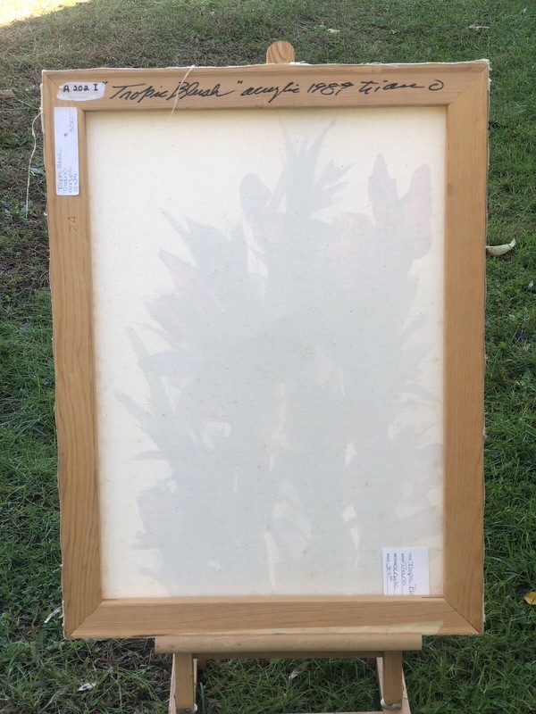 Anthony triano Original Floral Still Life Painting gallery
