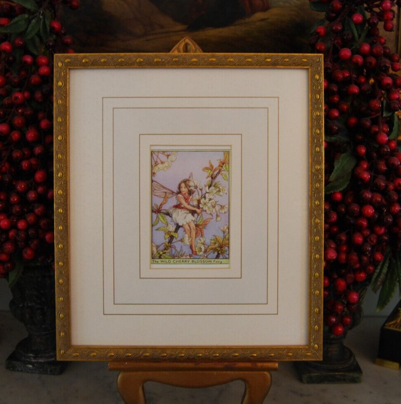 VINTAGE THE WILD CHERRY BLOSSOM FAIRY BY CECILY M BARKER MAT & MOUNTED ON FRAME