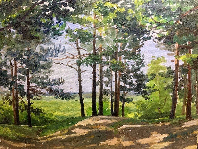Oil Painting Unframed Summer Nature Cherkas A Original Artwork Home Decor n244
