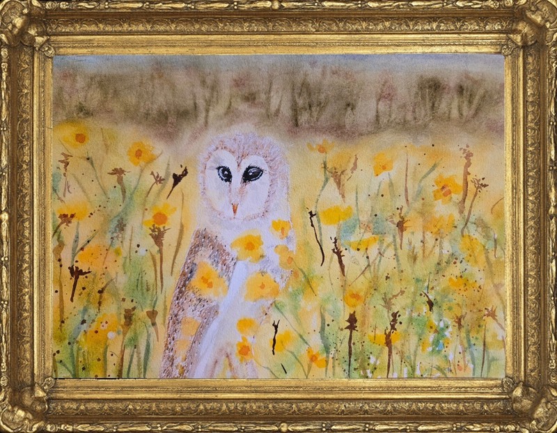 Watercolor paintings originals, «Little Owl in the Buttercups»