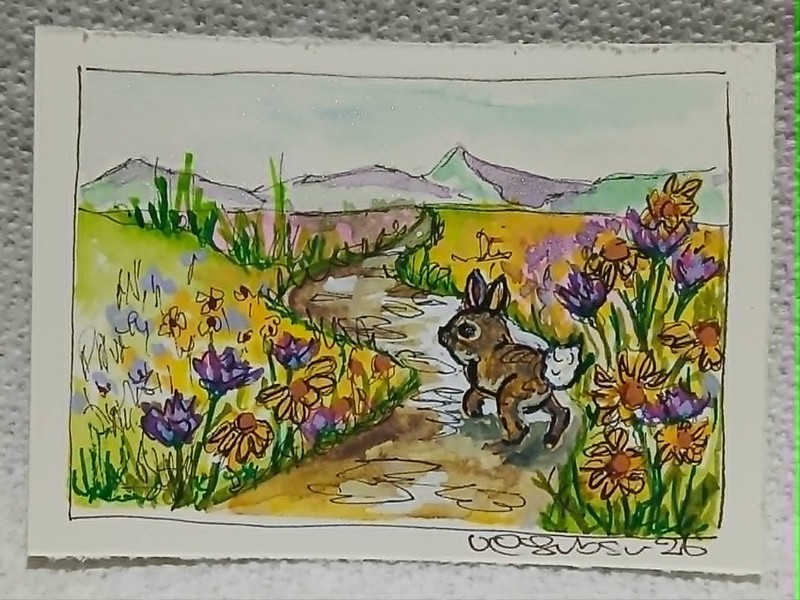 Dimples the Rabbit in English Meadow – Cornflowers & Daisies ACEO OOAK Art