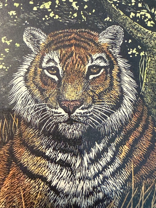 Rama Samaraweera Signed Tiger Print Limited Edition 37/300 In Frame 7.5"x9.5" gallery