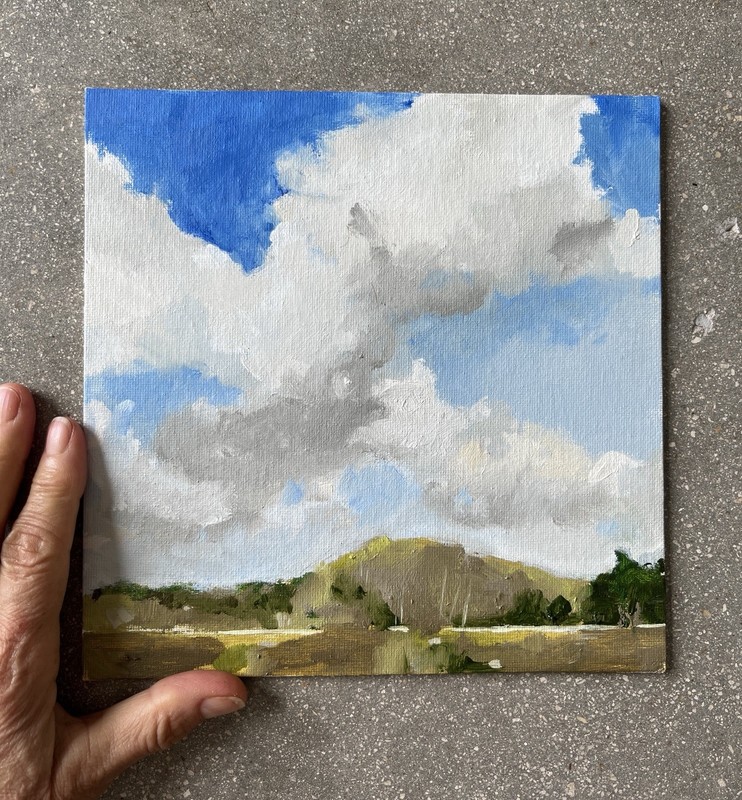 Oil Painting OOAK Everglades Florida Landscape Clouds Collect Fine Art gallery