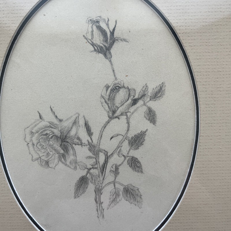Pencil Drawings Pair Framed Matted UnSigned 9 x 10.5" Roses + Garden Scene gallery