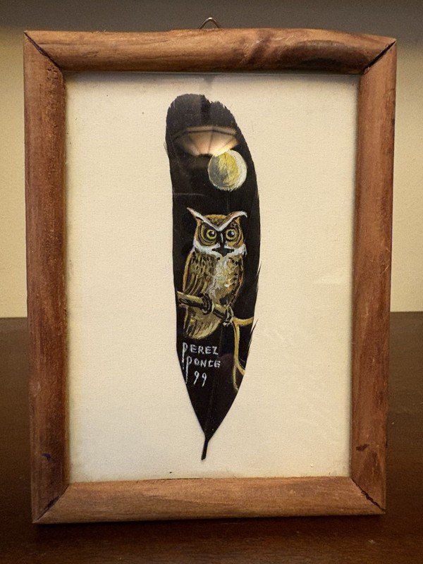 Hand Painted feather Art signed Artist Owl Bird Moon Themed Framed 5.5” X 4” gallery