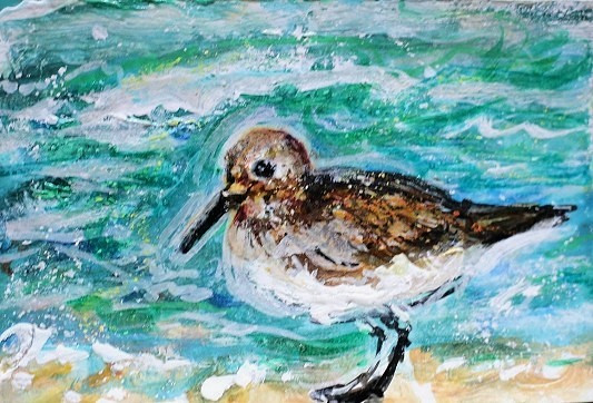 ORIGINAL ACEO Painting SANDERLING Beach Sand Piper OCEAN BIRD Sea Shore ATC ART