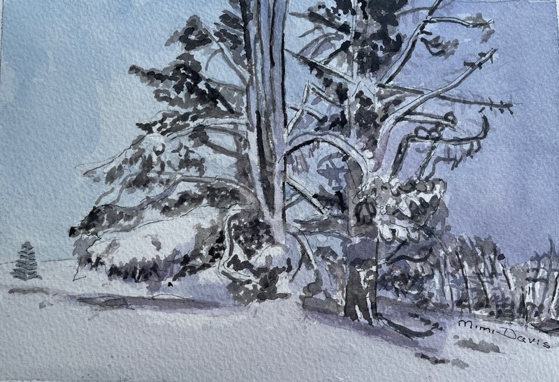 New Zealand, Mackenzie Country Winter/ orig. W/C / 9" x 12"/ Mimi Davis, Artist gallery