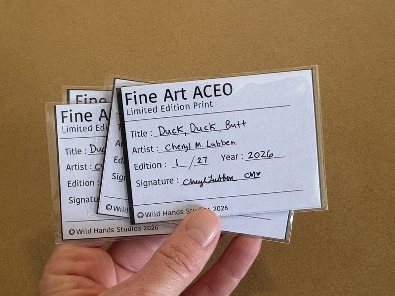 Limited Edition Duck ACEO Print Magnet Mini Bird Art Collectible Ducks Cute Gift gallery