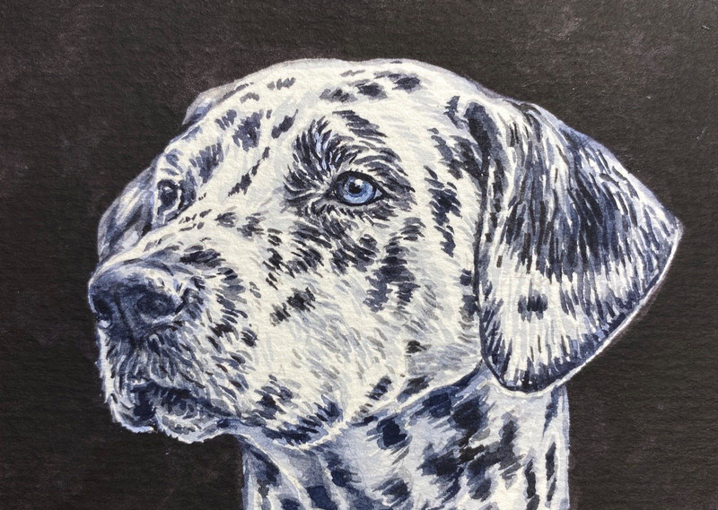 Watercolor Painting Cute Dog Breed Dalmatian ACEO Art No.206