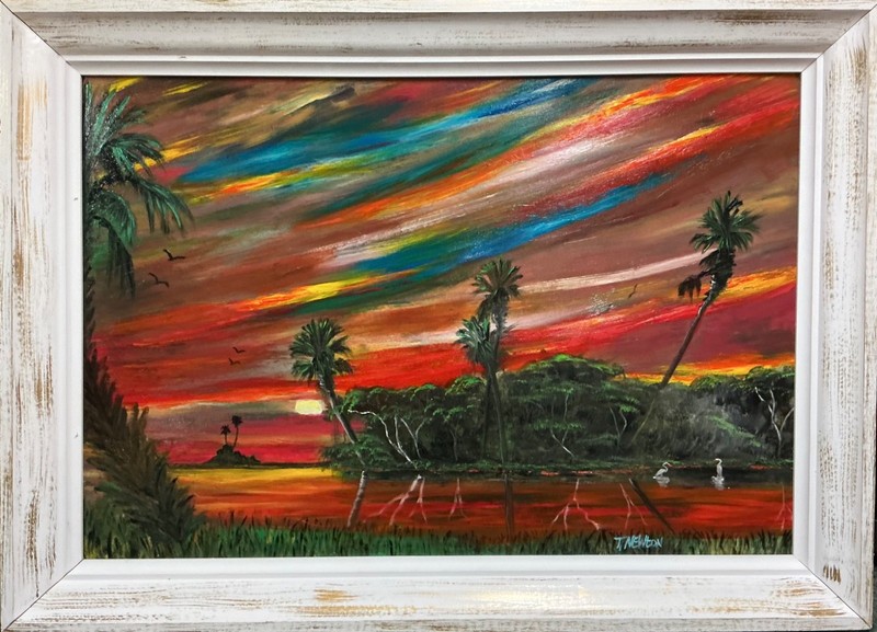 🔥TRACY NEWTON( BACK RIVER SCENE )Son of Florida Highwaymen Sam Newton.