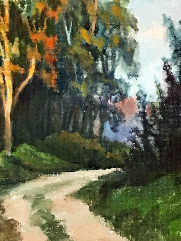Light playing on the trees: as the sun goes down changing colors dance playfully gallery