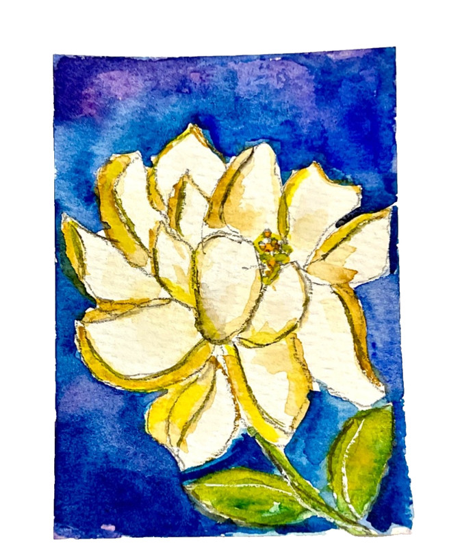 ACEO Original magnolia flower ATC OOAK Cherie Donnell