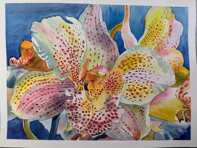 Original Watercolor Painting 12″x 9″ Orchid