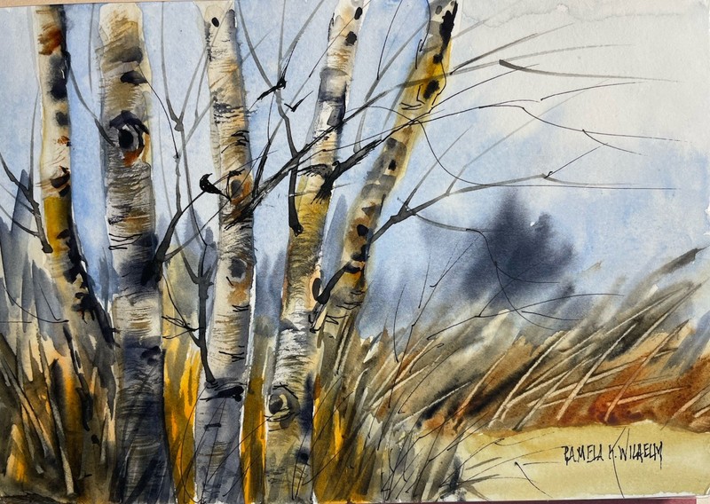 5×7 Pamela Wilhelm Original Watercolor Aspen Or Birch Trees Autumn Color