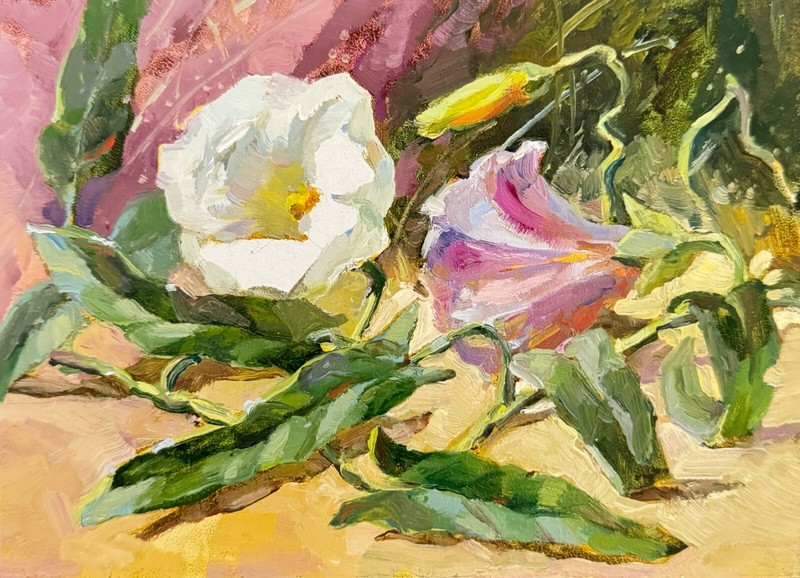 Wildflowers Painting Original Oil Painting Floral Small Painting Flower Bindweed