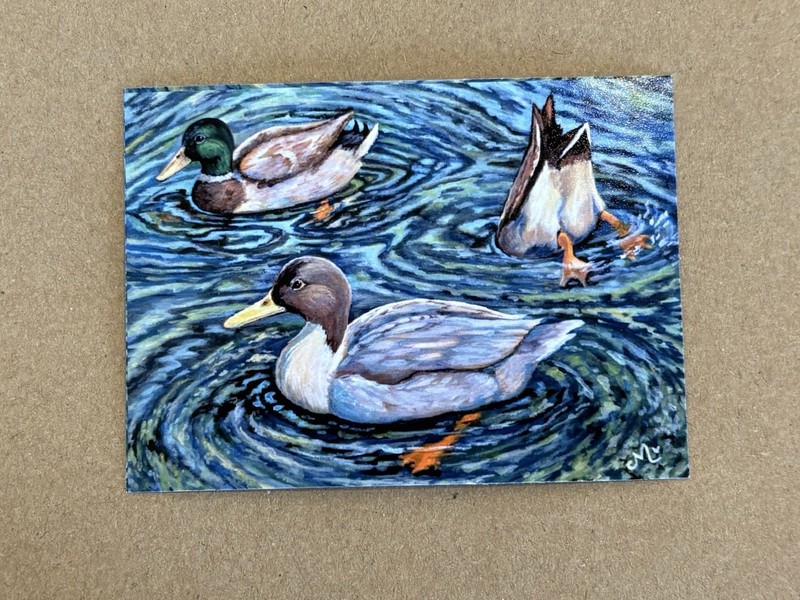 Limited Edition Duck ACEO Print Magnet Mini Bird Art Collectible Ducks Cute Gift