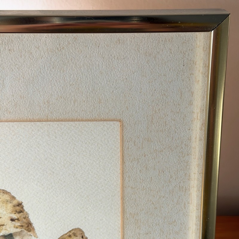 Shaggy Mane Mushroom Watercolor | Framed & Matted | Signed Gerlinde gallery