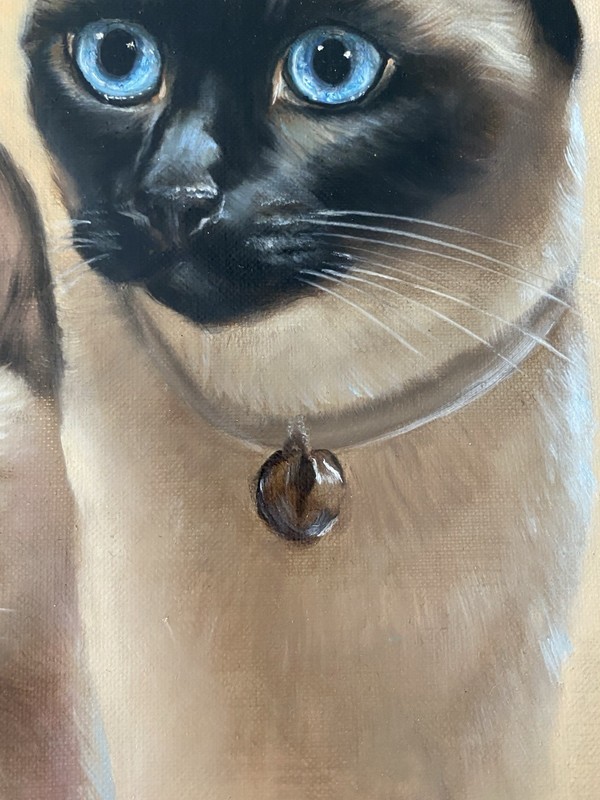 Nancy Carlyle Ca. Mid Century Siamese Cat Kitten Modern Portrait Animal Painting gallery
