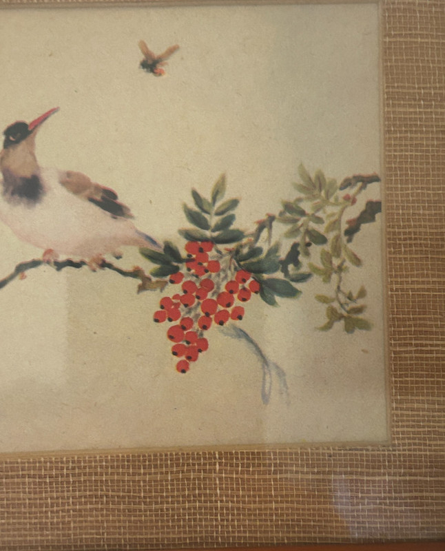 Vintage Asian Hand Painted Silk Bird Branch Berries Signed Framed Miniature Art gallery