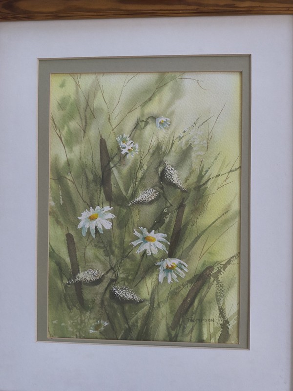 Original Watercolor Daisy Wildflowers Signed Thompson Framed Matted gallery