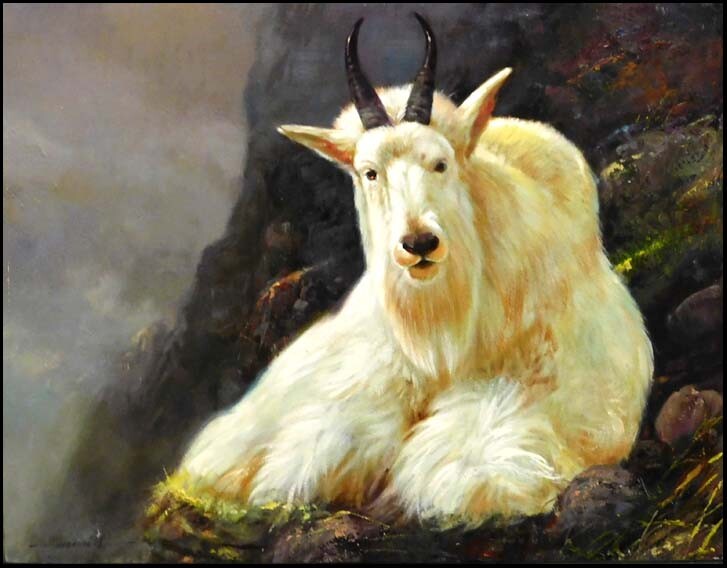 Dave Merrill «Big Horn Sheep» Original Oil canvas Hand Signed Make an Offer