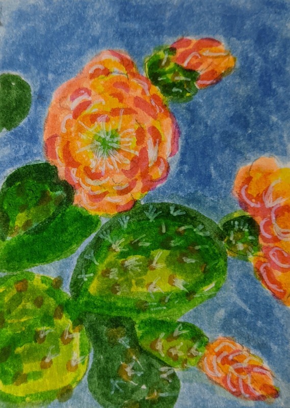 Aceo Cactus With Flower Watercolor Original