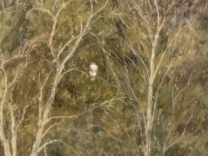 1999 Cindy House Spring Thaw Landscape W/ Bird Pastel Painting gallery