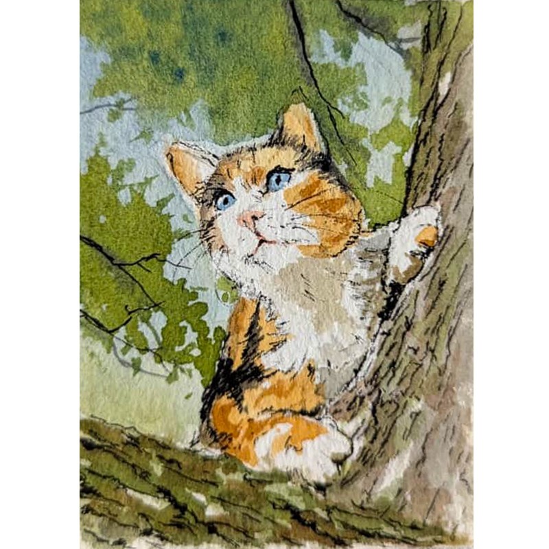 OOAK ACEO Original Watercolor Painting Calico Ginger Cat Blue Eyes Climbing Tree