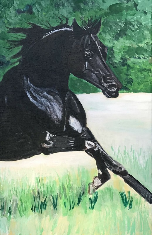 Galleta, Black Arabian Horse, Art Acrylic Painting on Canvas, 16 x 20 inches gallery