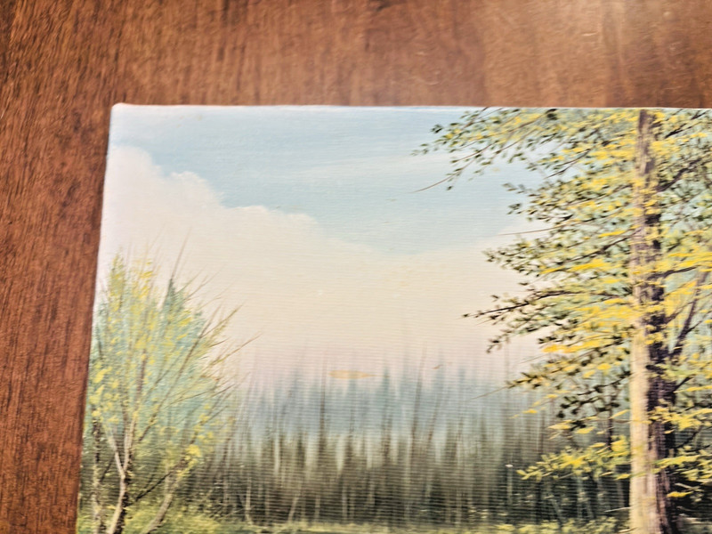 Oil Painting on Canvas Outdoor Scene River Trees Signed J. White 8 In x 10 In gallery