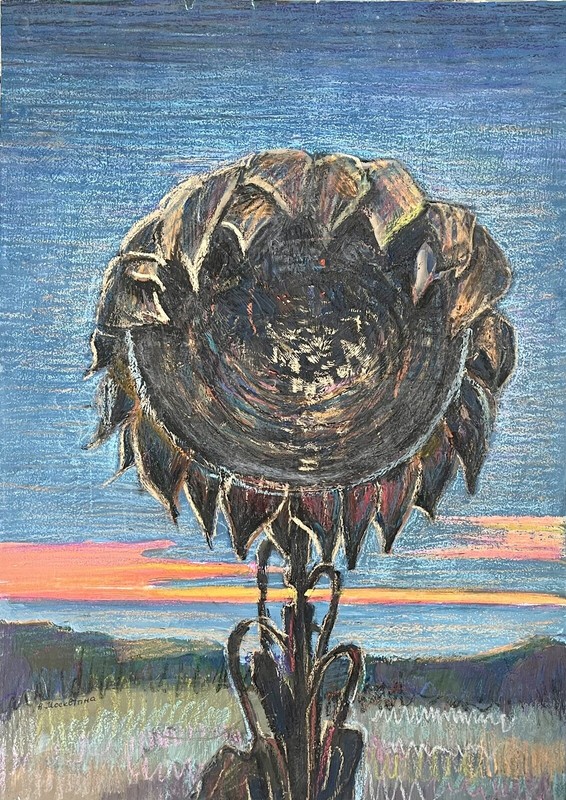 «2014 year. Sunflowers » ORIGINAL OIL PASTEL ART War Ukraine Kharkiv