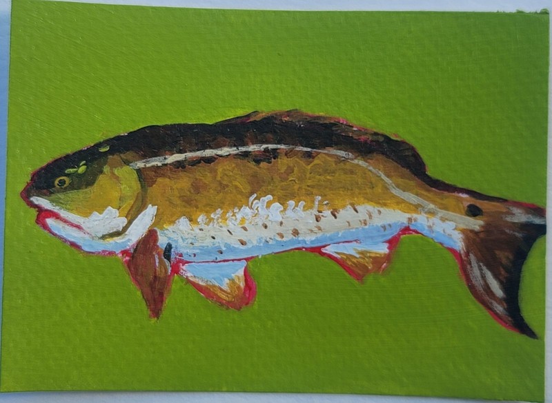 ACEO Original, Abstract Animal Fish, Mini Art Painting, Coastal Animals