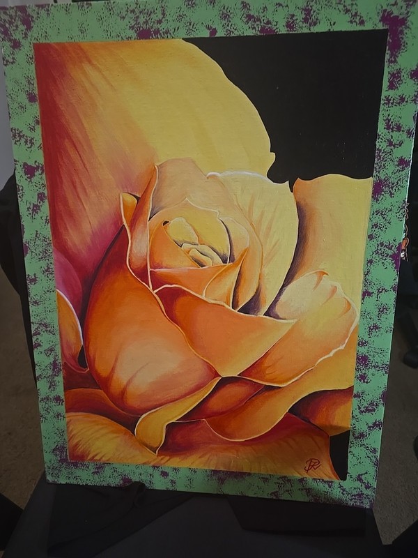 Yellow Red Mix With Orange Rose gallery
