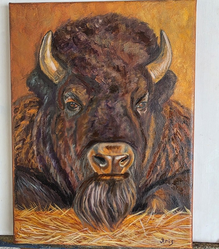 Original Oil Painting Pet Portrait 9×12″, Bison,I Do Custom Work From Photo