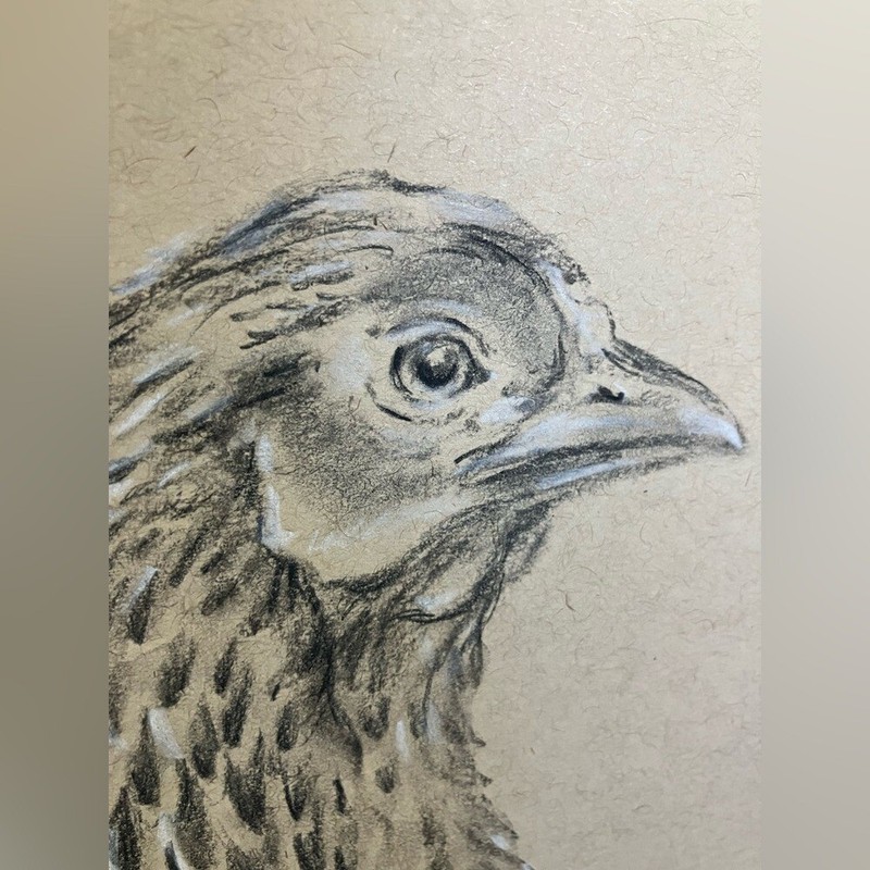 ORIGINAL Chicken Realism Pastel Painting Americana Charcoal Art farm bird EAE gallery