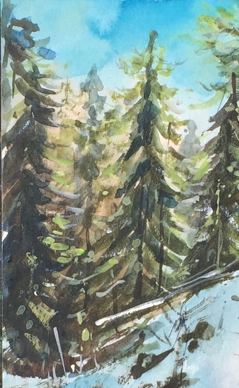 ORIGINAL Small Watercolor Painting "Snowy Forest" 6" x 9" NOT A PRINT gallery
