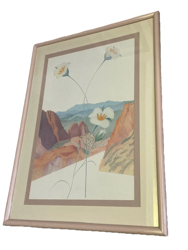 California San Gabriel Valley with Mariposa Lily Vtg Frame 30.5”X41.5”