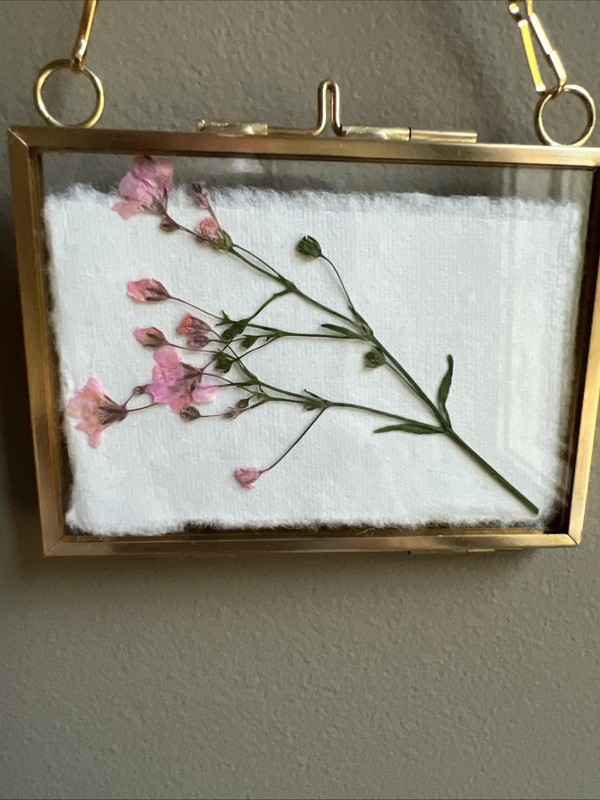 Dried Flowers In Gold Frame,real,cute,original,miniature small,mini,framed