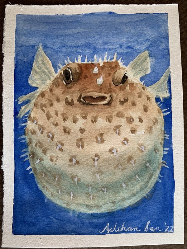 Original watercolor Pufferfish undersea Made to Order underwater fish painting