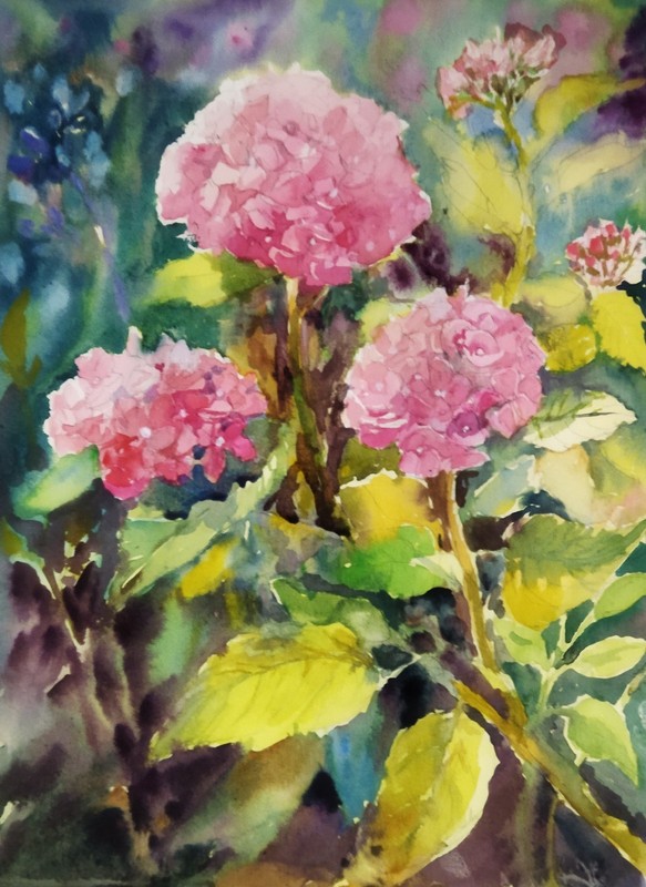 Original Watercolor Painting Pink Hydrangeas Floral Art Watercolor Flower Ar