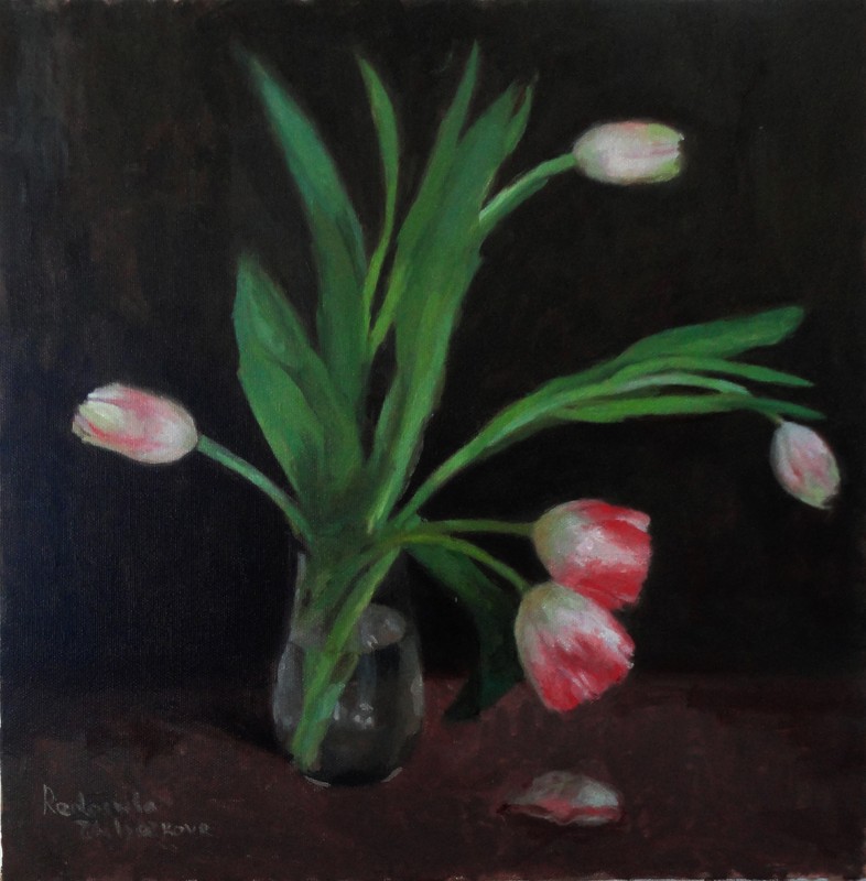 5 Tulips