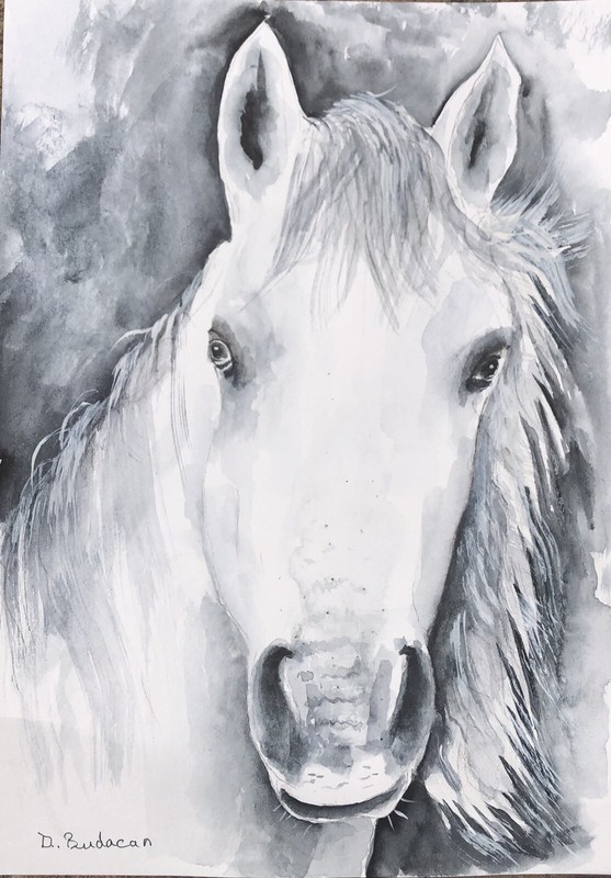 Italy Art Original horse art signed,watercolor painting,equine,art ,12×9 In