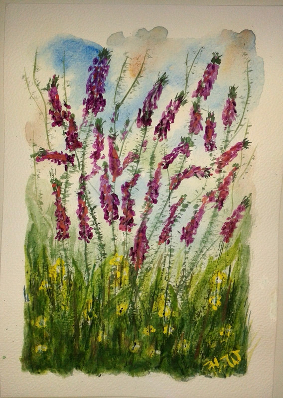 Original Painting Watercolour Flowers, Meadow, Landscape, A5 Size Unique Signed