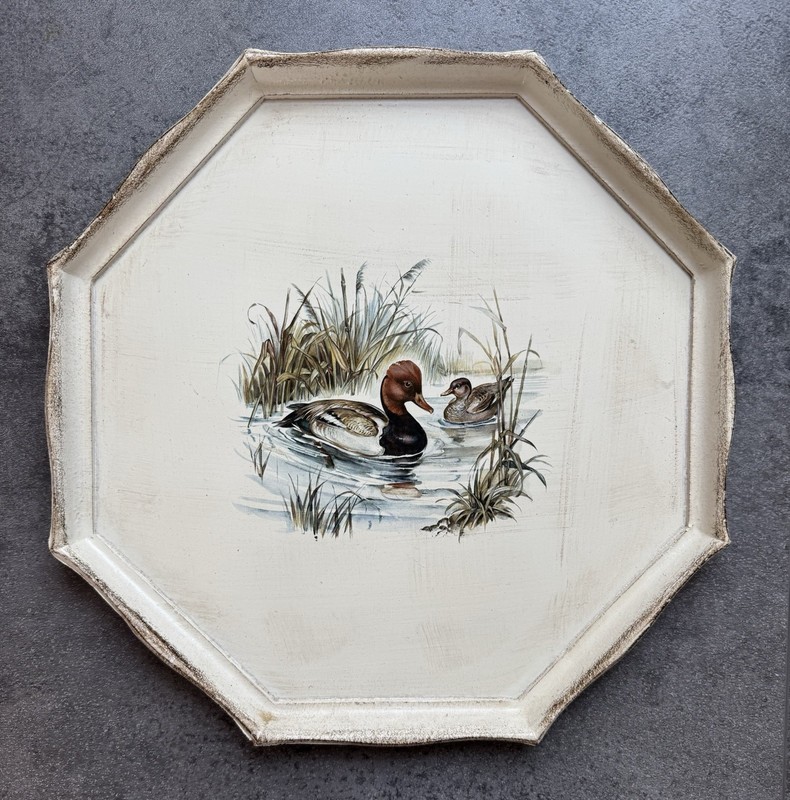 Vintage Octagonal Duck Portrait Wall Tray in Cream Finish