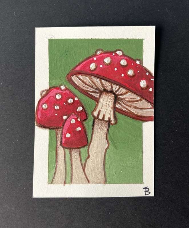 ACEO original art “Mushrooms” Signed Shara Braithwaite Shara studio painting gallery