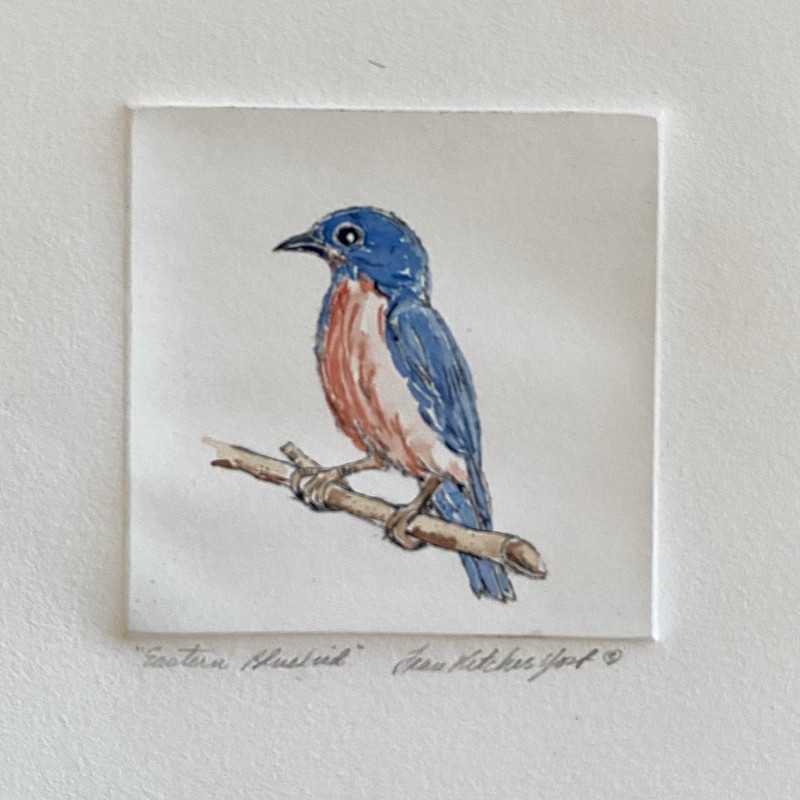 Original Eastern Bluebird Bird Watercolor Painting Fran Ritchie Yost gallery
