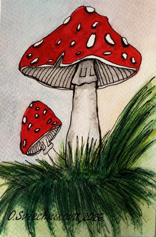 Original watercolor painting miniature 15x10cm Red fly agaric with white dots .