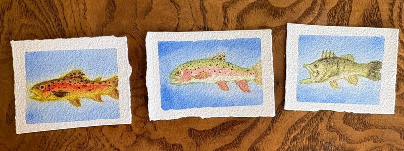 3 Mini Fish paintings Original Watercolor Rainbow & Brown Trout & Bass Triptych
