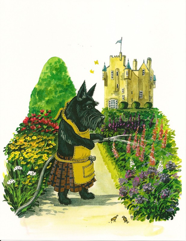 8×10 PRINT OF PAINTING SCOTTISH TERRIER MACDUFF RYTA ENGLISH GARDEN FOLK art 🌺